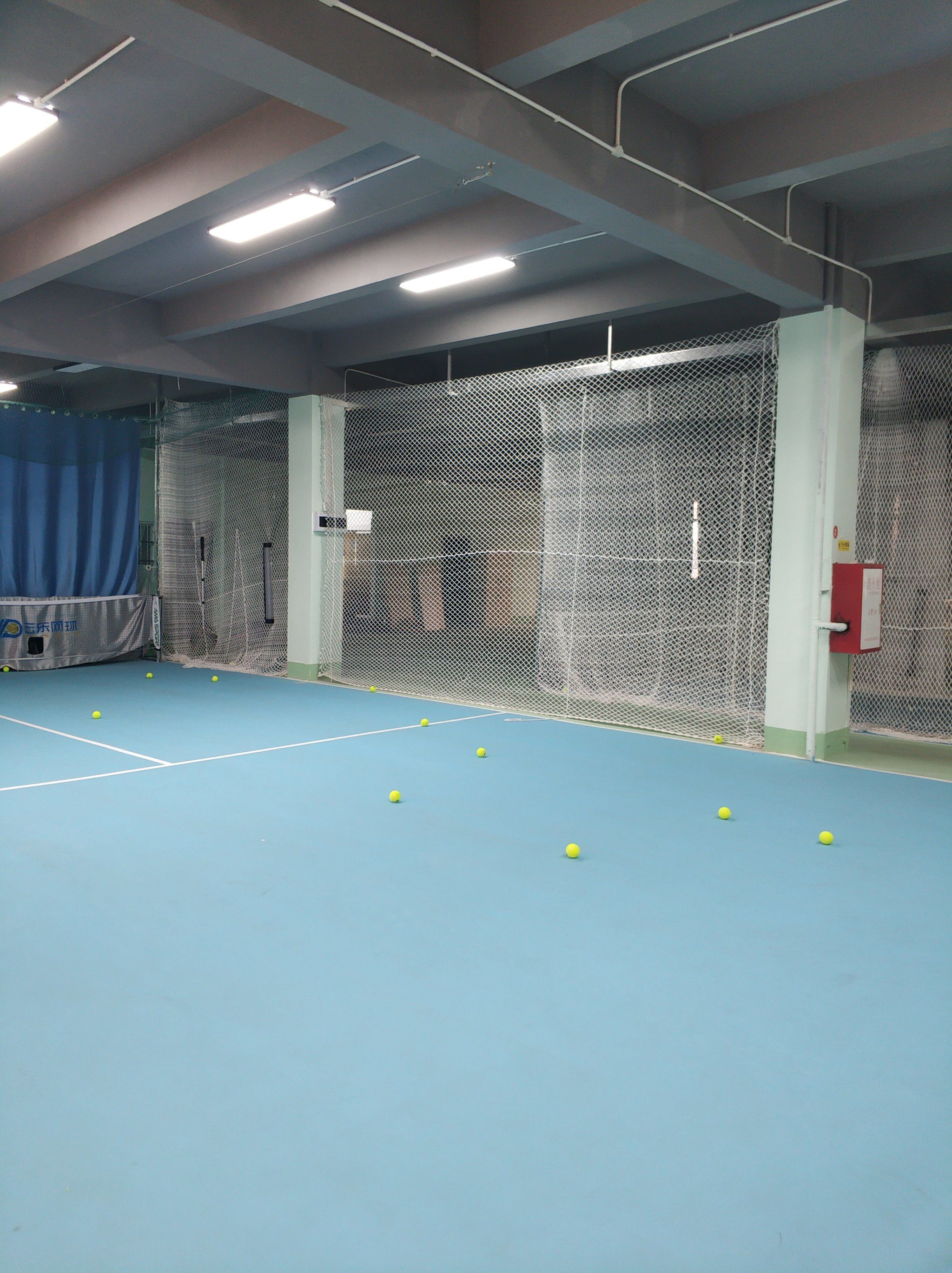 可以显著提 可以显著提