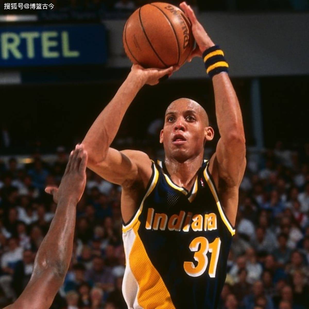 雄鹿在面对 雄鹿在面对