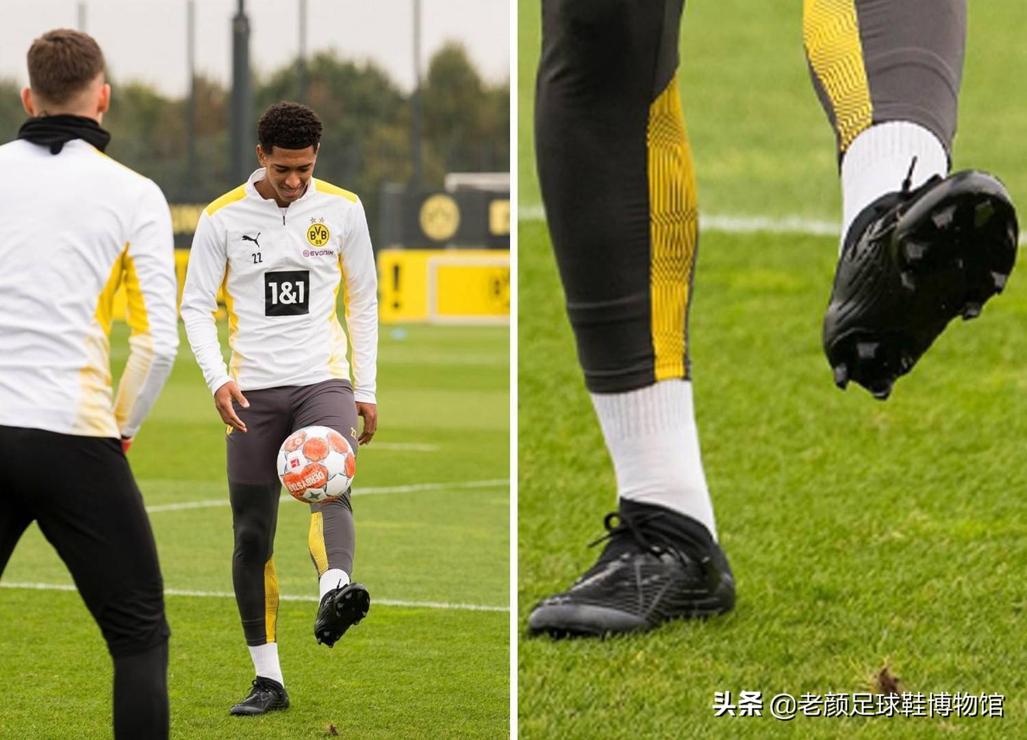 选手们不但 选手们不但