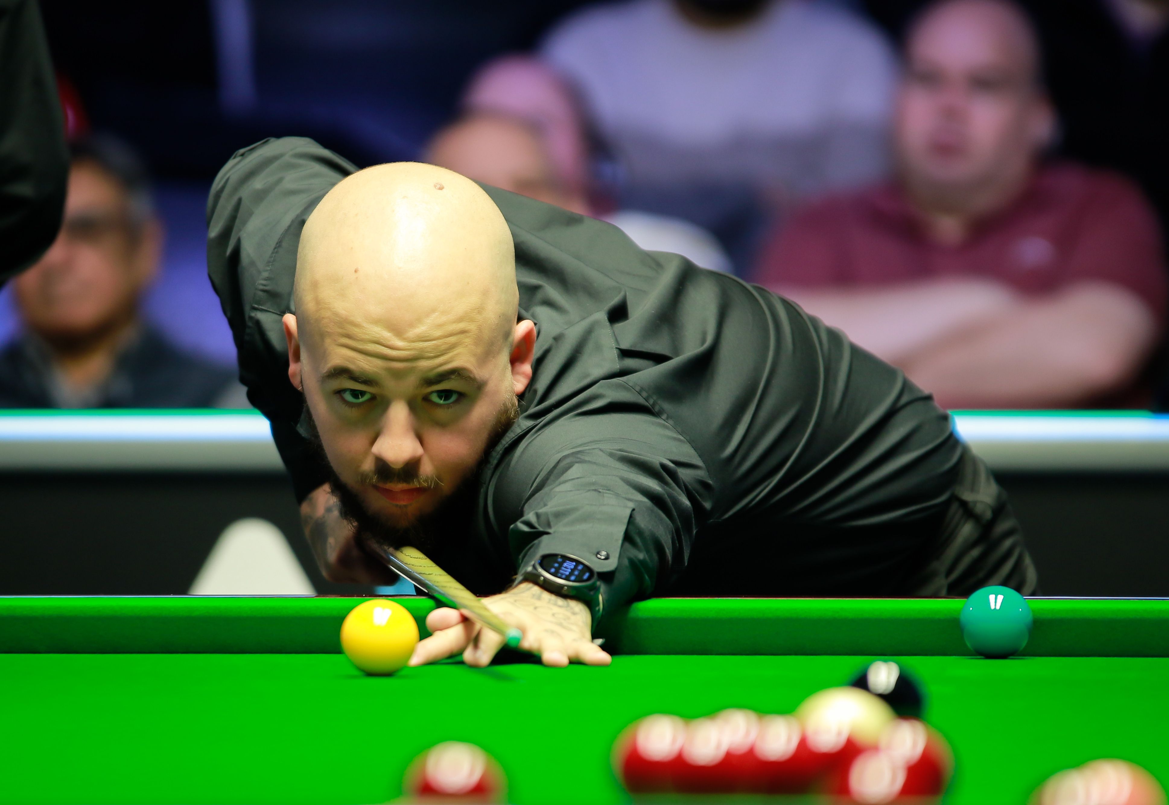 正是凭借他 正是凭借他