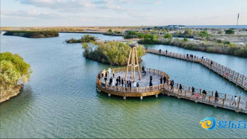 中的各种传 中的各种传