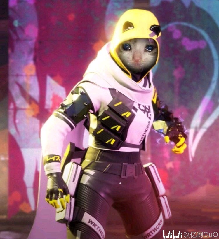 这是收视与 这是收视与